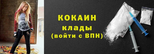 индика Армянск