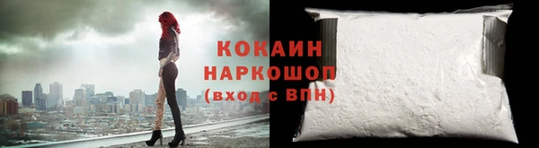 индика Армянск