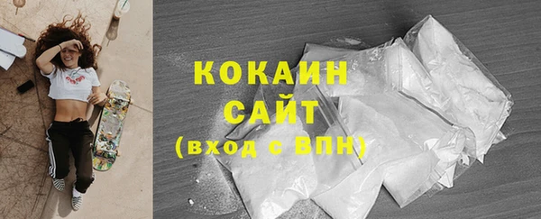 индика Армянск