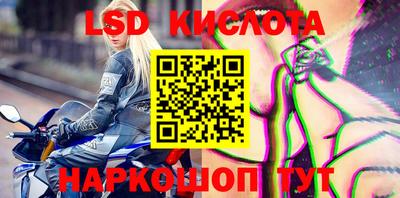 стафф Краснознаменск