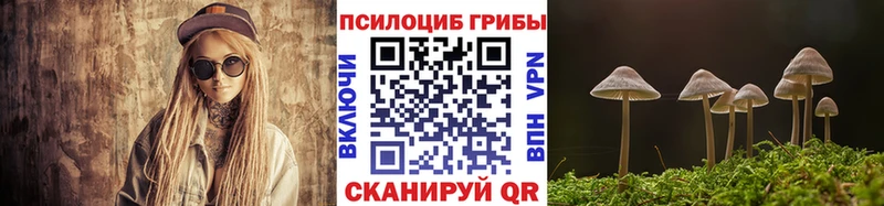 магазин продажи Ижевск Галлюциногенные грибы Magic Shrooms